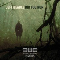 Did You Run?_Jeff Beadle