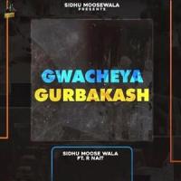Gwacheya Gurbakash_Sidhu Moose Wala,R-Nait