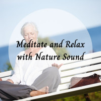 Birds through the forest_Focus,Relaxing Nature Recordings,Classical Music For Relaxation