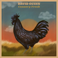 Hummingbird's Song_David Quinn