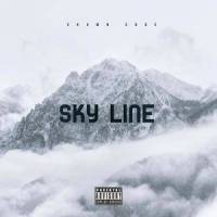 Sky Line(feat. Qumu & Quantic)_Shawn Code,Qumu,Quantic