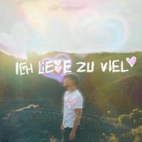 ich liebe zu viel_Lukas Litt