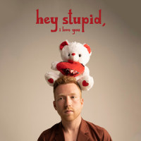 Hey Stupid, I Love You_JP Saxe