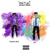 How It Go_Adam Snow,6o,Famous Dex