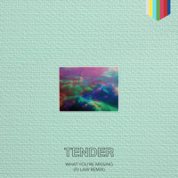 What You're Missing_TENDER