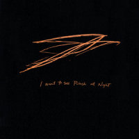 Hover II_Andrew Bird