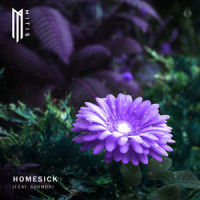 Homesick(feat. SOUNDR)_MitiS,Soundr