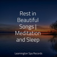 Healing Music_Massagem Coleção de Músicas,Massage Music,Pink Noise