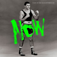 This Will Never Replace Rock 'n' Roll_Fury In The Slaughterhouse
