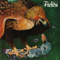 Over and over Again_Fields