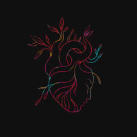 heartbeat_slenderbodies