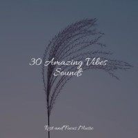 Chakra Serenity_Zarobi,Spa,Meditation Music Club