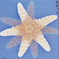 テレビ_Spitz