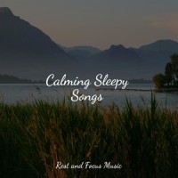On Vacation_Mindfulness Meditation World,Deep Sleep,Yoga Soul