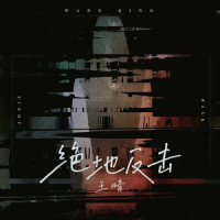 绝地反击_王晴