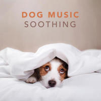 Dog Music - Soothing Music for Dogs and Puppies, Pt. 28_Sleepy Dogs