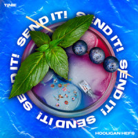 SEND IT!(feat. Tinie Tempah)_Hooligan Hefs,Tinie Tempah