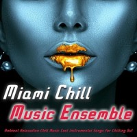 Music with Bass_Miami Chill Music Ensemble,Spa