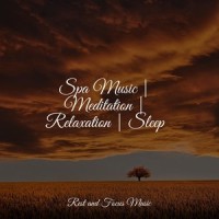 Joining the Peace_Deep Sleep,Academia de Meditação Buddha,Study Zone