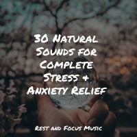 Peaceful Sunshine_Spa,Sleep Meditation Dream Catcher,Baby Sweet Dream