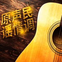 乡村音乐之夜结束时完整版_Bobby Cole