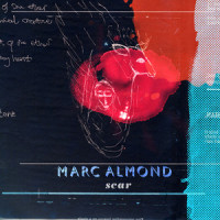 Scar_Marc Almond