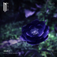 Hurt(feat. Zack Gray)_MitiS,Zack Gray