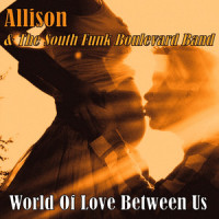 You Let Me Down_Allison,The South Funk Boulevard Band