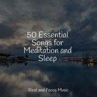 Completely Calm_Spa,Yoga Soul,Música Zen Relaxante