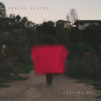 How Many Times_Marcus Foster