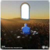 The Memories(feat. Meredith Bull)_Raiin,Meredith Bull