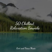 Clouds of Melody_Wellness,Deep Sleep Systems,Pro Sound Effects Library