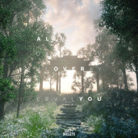 All over You(feat. Hanne)_Collin Jax,Hanne