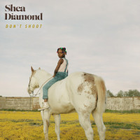 Don't Shoot_Shea Diamond