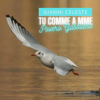 Tu Comme A Mme_Gianni Celeste