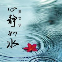 SCARBOROUGN FAIR_董文华