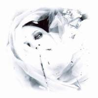 White Rose_Nell Bryden