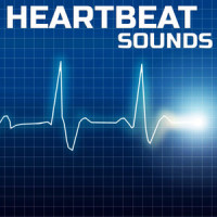 Soothing a Baby Womb Heartbeat(feat. White Noise, Baby Sleep Pink Noise, Binaural Beats Sounds, Binaural Sleep, Deep Sleep Collection & Meditation Therapy)_Heartbeat Sounds,Universal Soundscapes,Universal White Noise Soundscapes,White Noise,Baby Sleep Pink Noise,Binaural Beats Sounds,Binaural Sleep,Deep Sleep Collection,Meditation Therapy