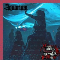Aquarium_Jordan Knight