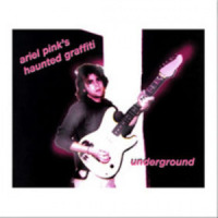 Don't Turn Back/2008_Ariel Pink's Haunted Graffiti