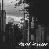 Walkin By Myself_Sane