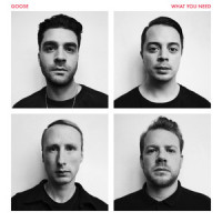 Forever_GOOSE