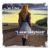 I Saw Ladybird_Jay Nash,TFDI,Tony Lucca,Matt Duke,Val McCallum