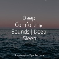 Fading Twilight_Deep Sleep FX,Sol y Lluvia,Meditation Music Experience