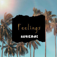 Feelings_Sureboi,Discovery,The Cab,Artist Vs. Poet