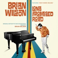 Rock & Roll Has Got a Hold on Me_Brian Wilson