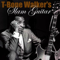 18 - T-Bone Shuffle_T-Bone Walker