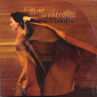 The Silent Awakening_Tina Malia