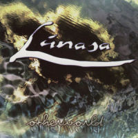 Lafferty'sCrock Of GoldLady BirrAbbey Reel_Lúnasa