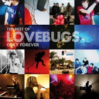 72_Lovebugs